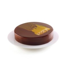 Форма силиконовая Silikomart "Круг" 20 см TOR200
